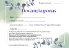 Dovanų kuponas