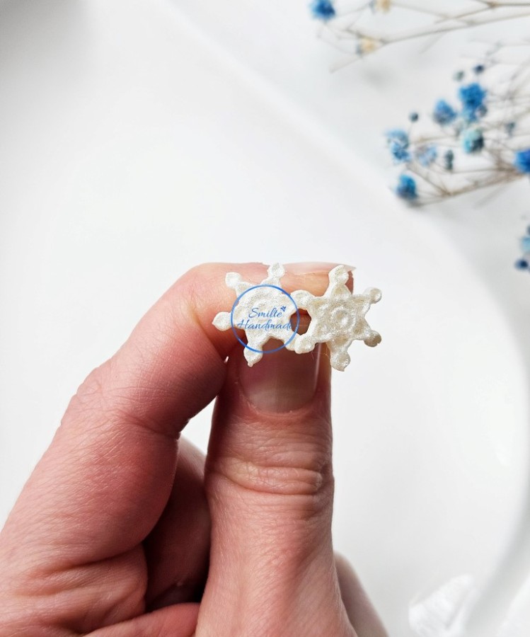 Auskarai blizgios snaigės (1)