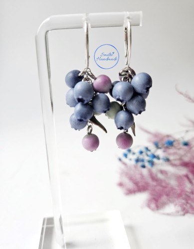 Auskarai su mėlynėmis (miksas)