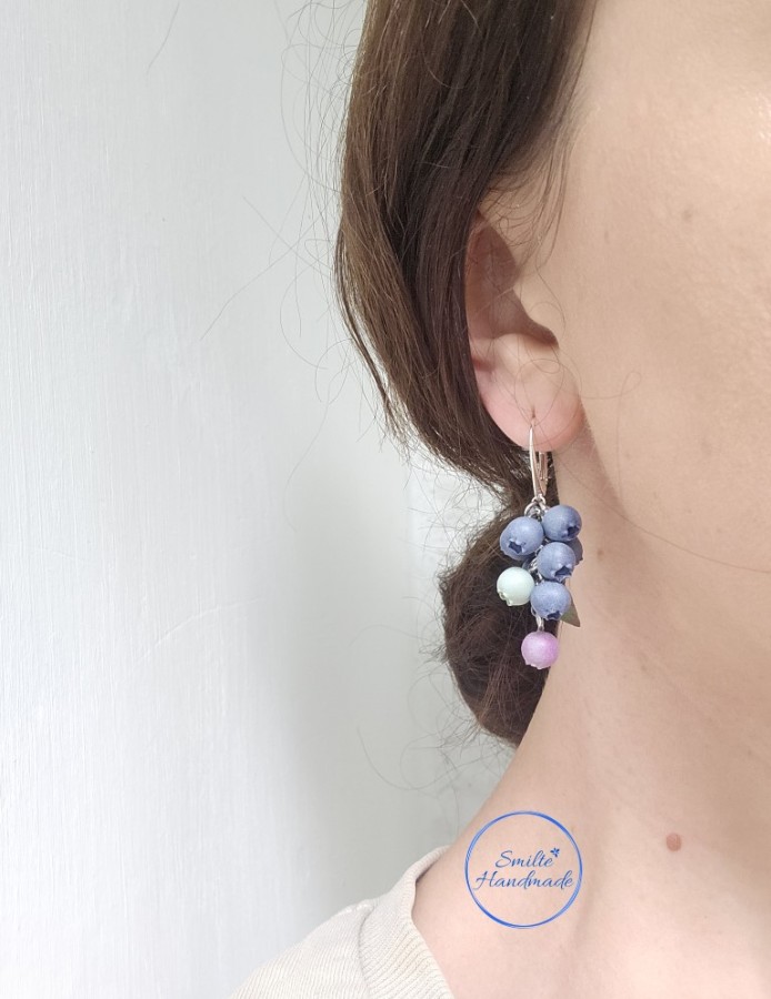 Auskarai su mėlynėmis (miksas)