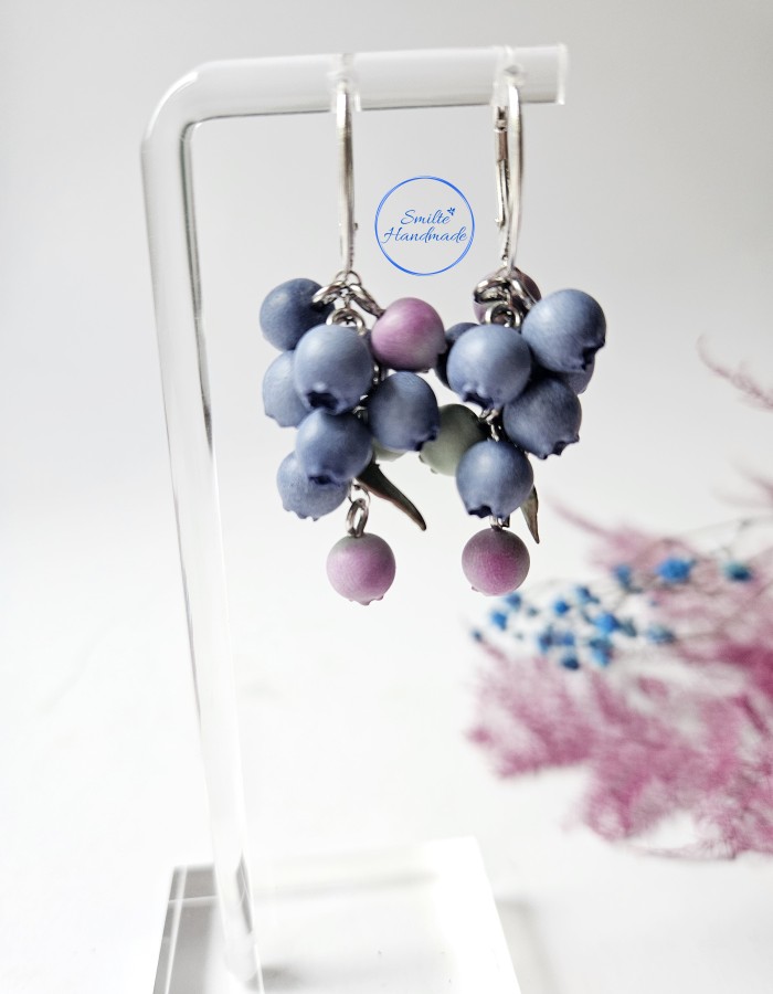 Auskarai su mėlynėmis (miksas)