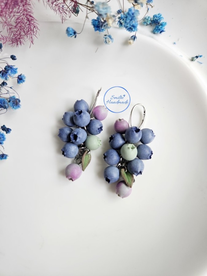 Auskarai su mėlynėmis (miksas)