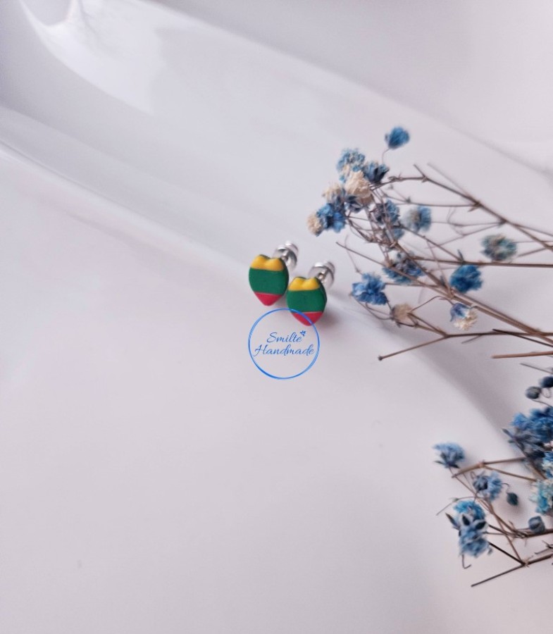 Auskarai trispalvė (1)