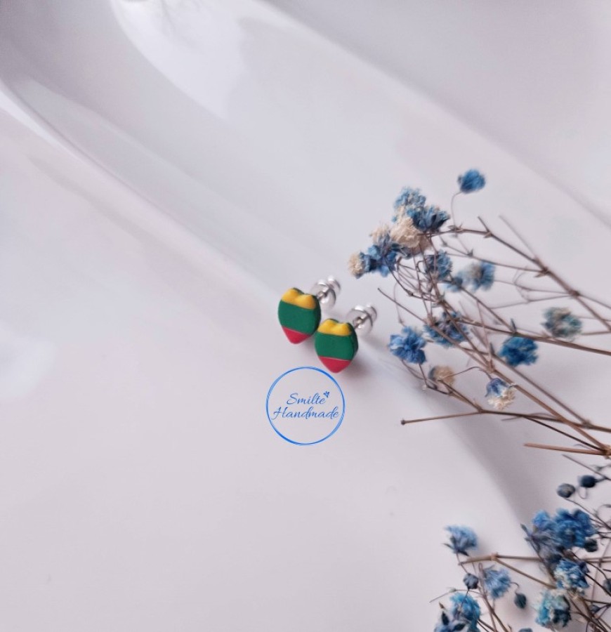 Auskarai trispalvė (1)