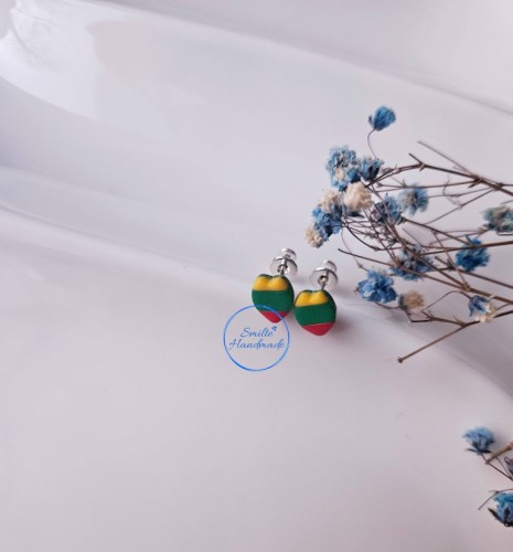 Auskarai trispalvė (1)