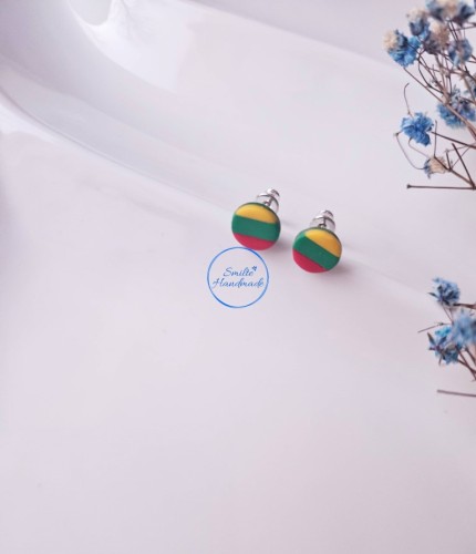 Auskarai trispalvė (2)