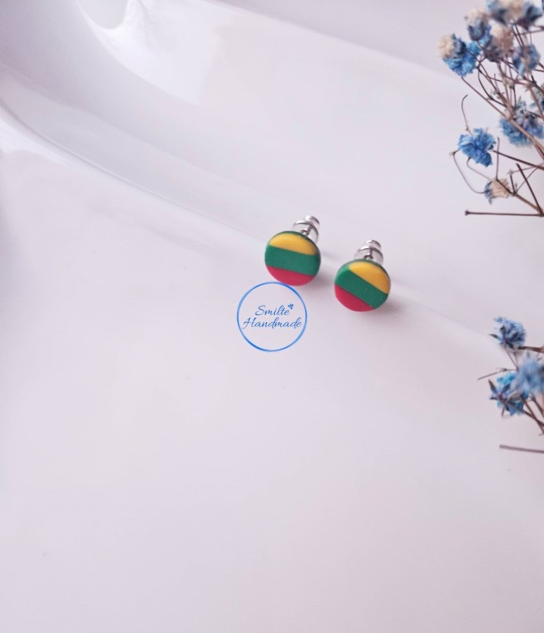 Auskarai trispalvė (2)