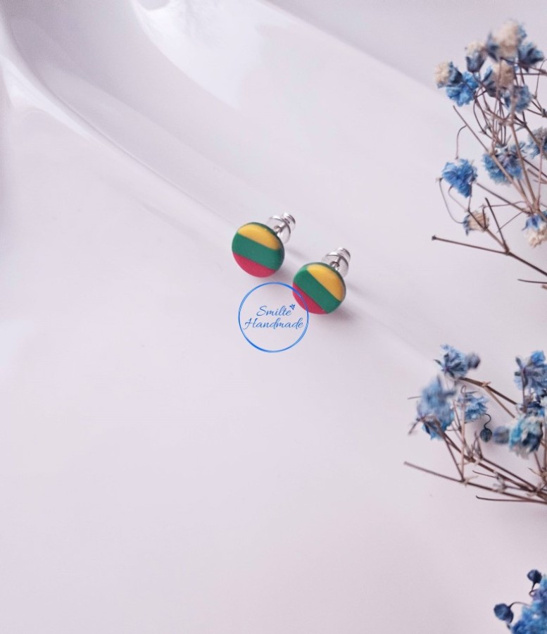 Auskarai trispalvė (2)