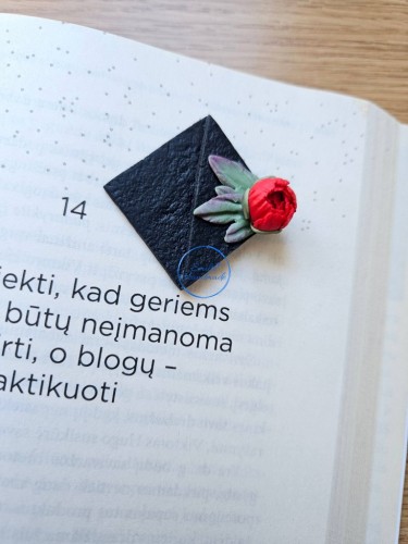 Knygos skirtukas su bijūnu