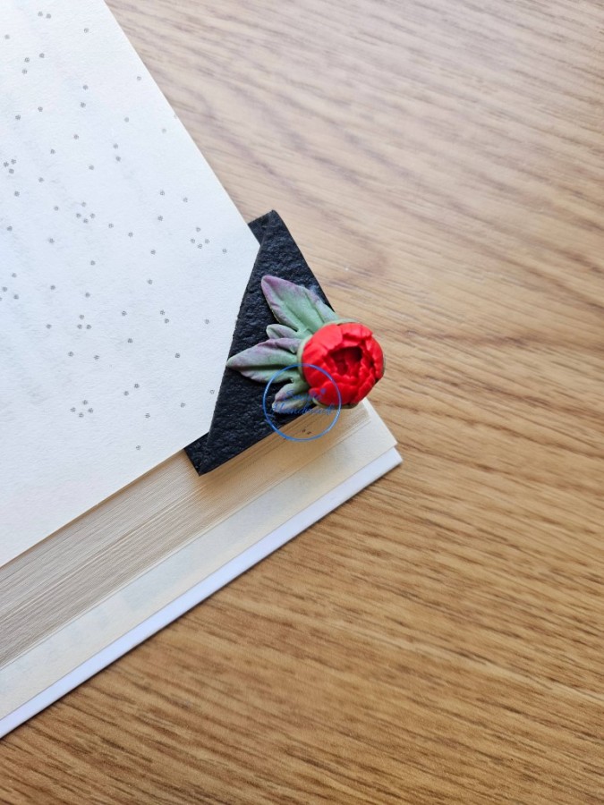 Knygos skirtukas su bijūnu