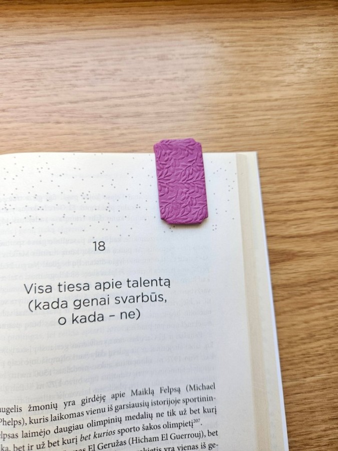 Minimalistinio dizaino knygos skirtukas