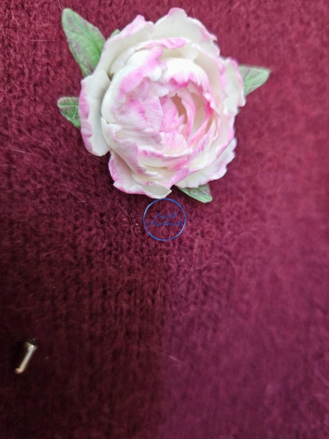 Segė didesnis bijūnas (2)